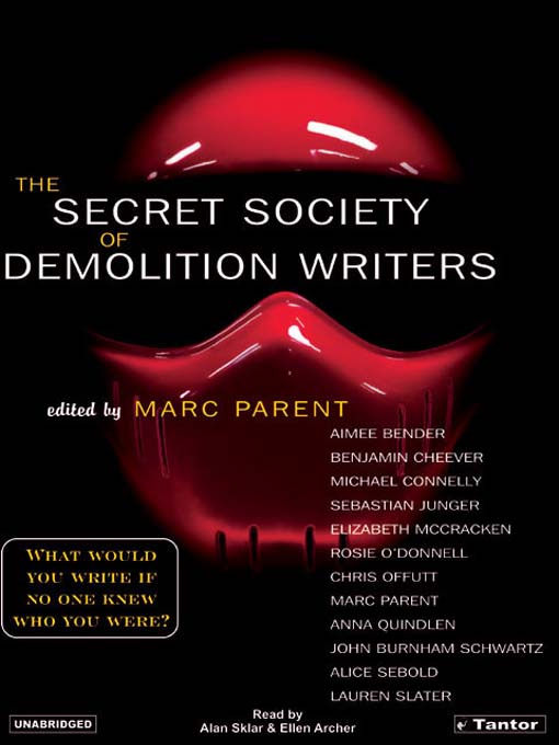 Cover image for The Secret Society of Demolition Writers